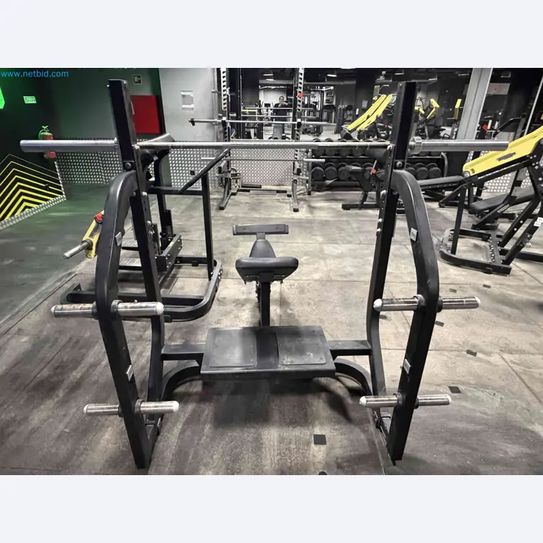 Auction of Used Technogym Gym Equipment – Professional Fitness Machines-4