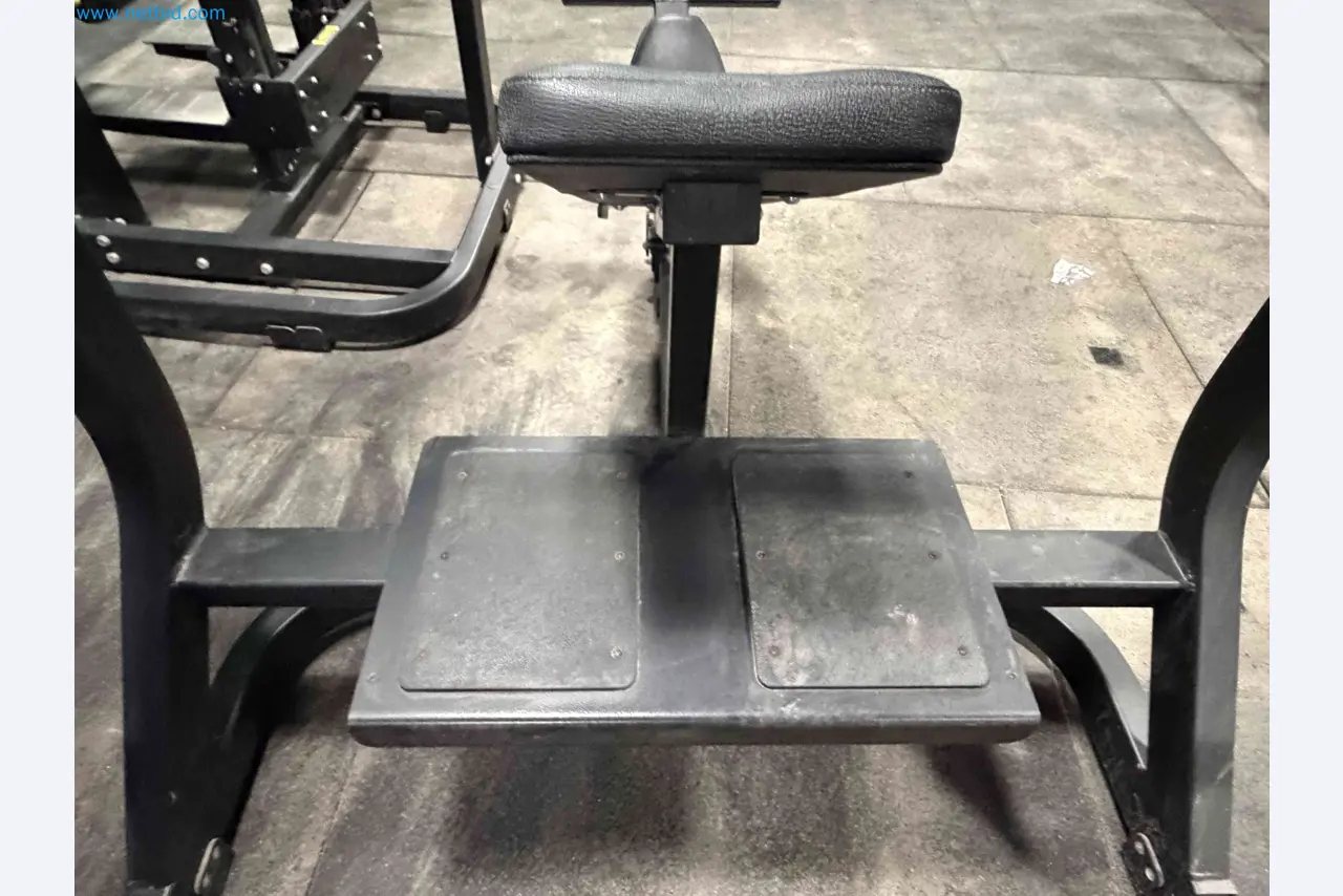 Auction of Used Technogym Gym Equipment – Professional Fitness Machines-5