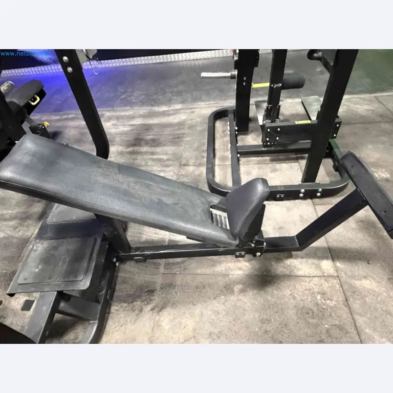 Auction of Used Technogym Gym Equipment – Professional Fitness Machines-9