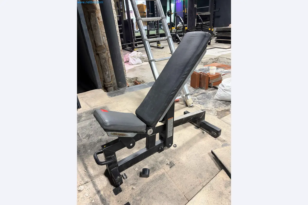Auction of Used Technogym Gym Equipment – Professional Fitness Machines-1