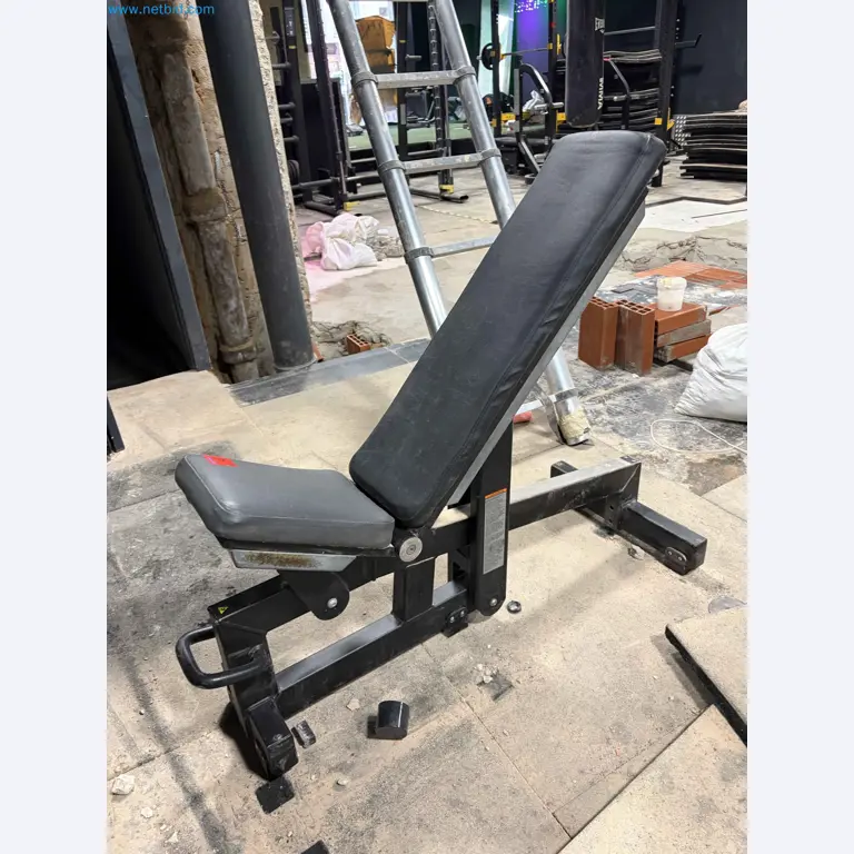 Auction of Used Technogym Gym Equipment – Professional Fitness Machines-1