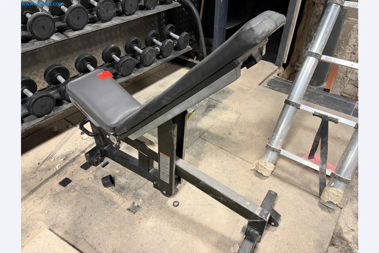 Auction of Used Technogym Gym Equipment – Professional Fitness Machines-2