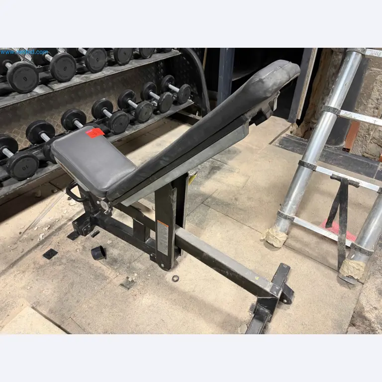 Auction of Used Technogym Gym Equipment – Professional Fitness Machines-2