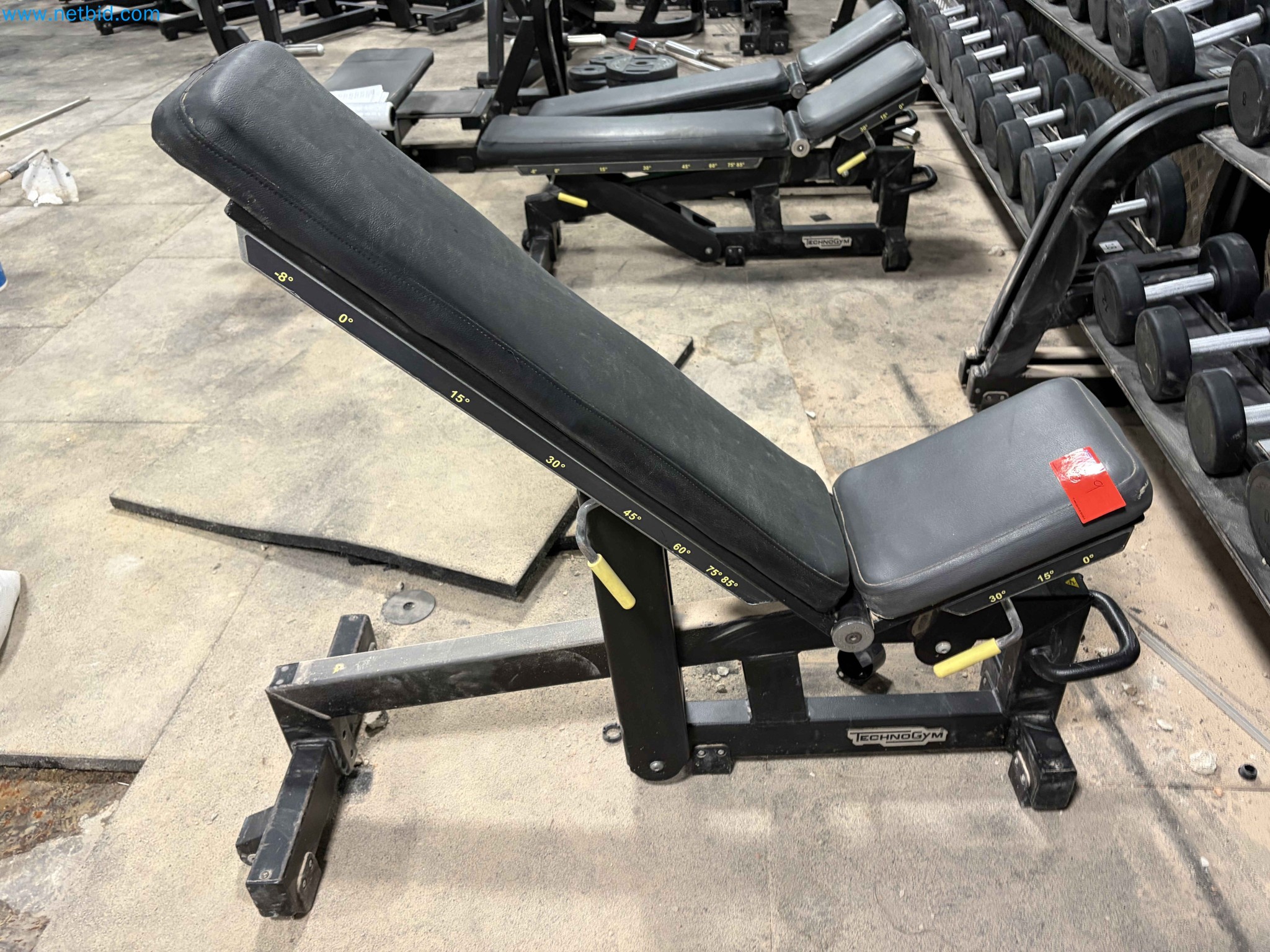 Auction of Used Technogym Gym Equipment – Professional Fitness Machines-3