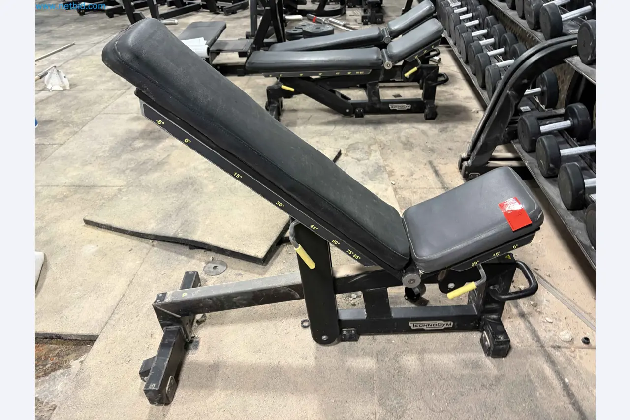 Auction of Used Technogym Gym Equipment – Professional Fitness Machines-3