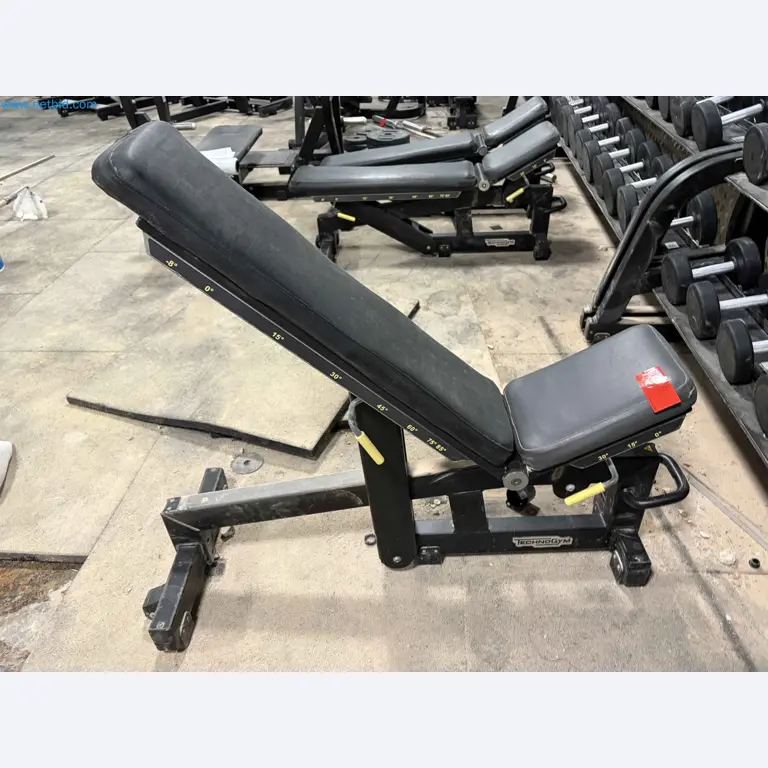 Auction of Used Technogym Gym Equipment – Professional Fitness Machines-3
