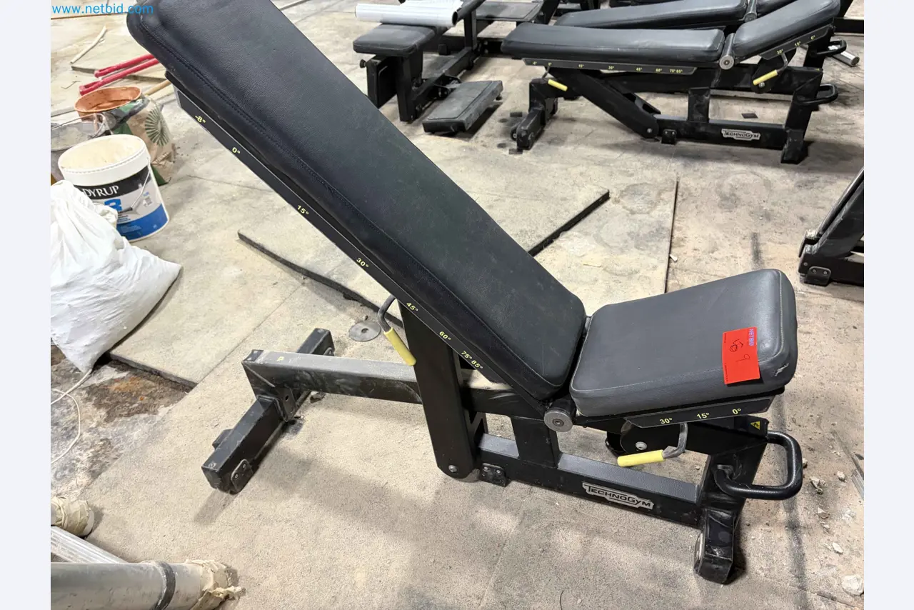 Auction of Used Technogym Gym Equipment – Professional Fitness Machines-4