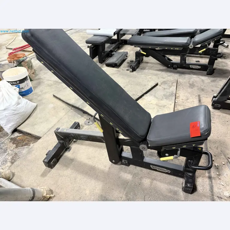 Auction of Used Technogym Gym Equipment – Professional Fitness Machines-4