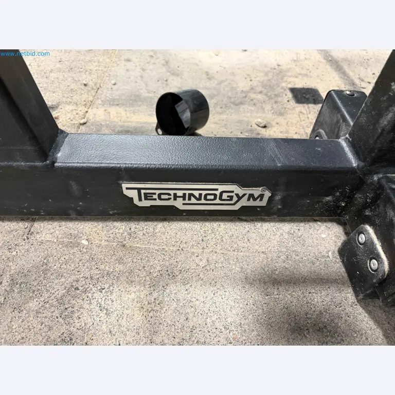 Auction of Used Technogym Gym Equipment – Professional Fitness Machines-6