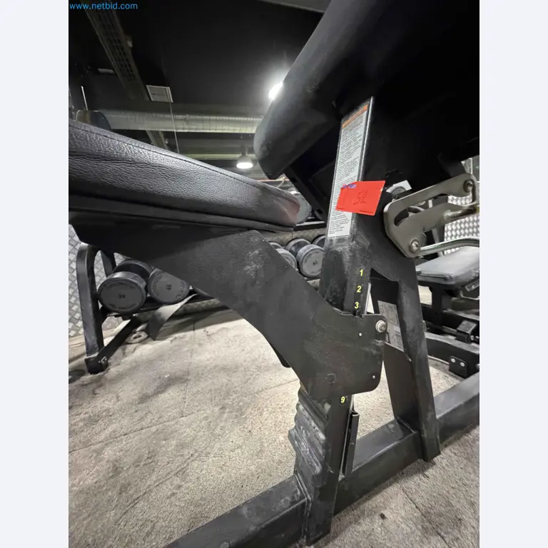 Auktion von gebrauchten Technogym-Fitnessgeräten – Professionelle Fitnessgeräte-10