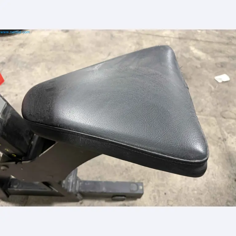 Auktion von gebrauchten Technogym-Fitnessgeräten – Professionelle Fitnessgeräte-7