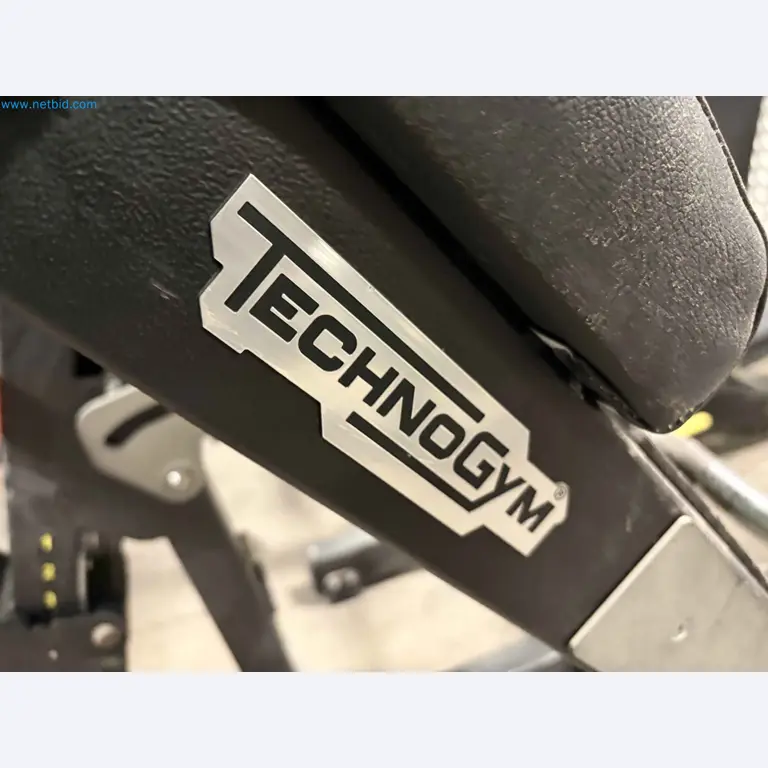 Auktion von gebrauchten Technogym-Fitnessgeräten – Professionelle Fitnessgeräte-9