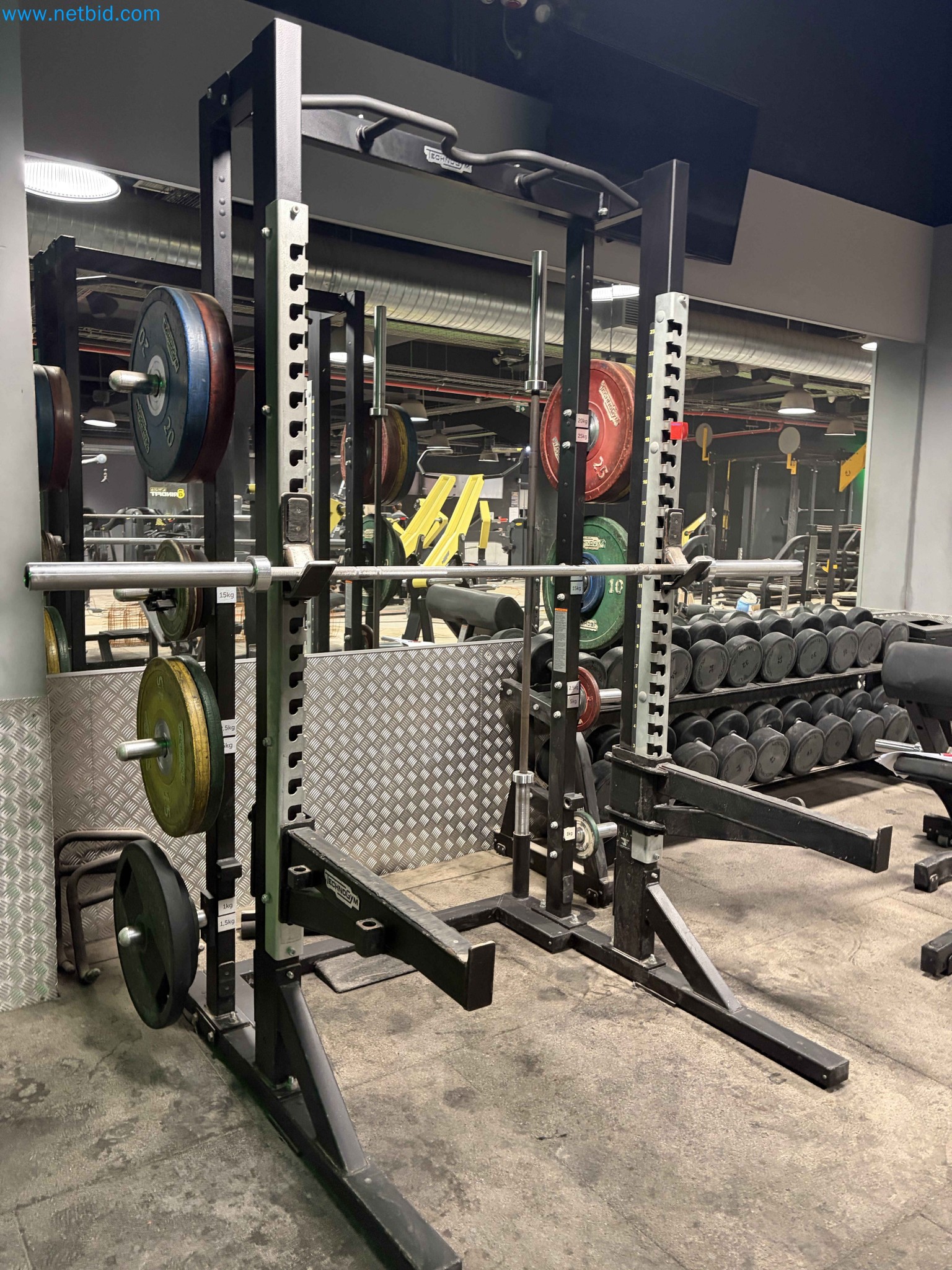 Auction of Used Technogym Gym Equipment – Professional Fitness Machines-10