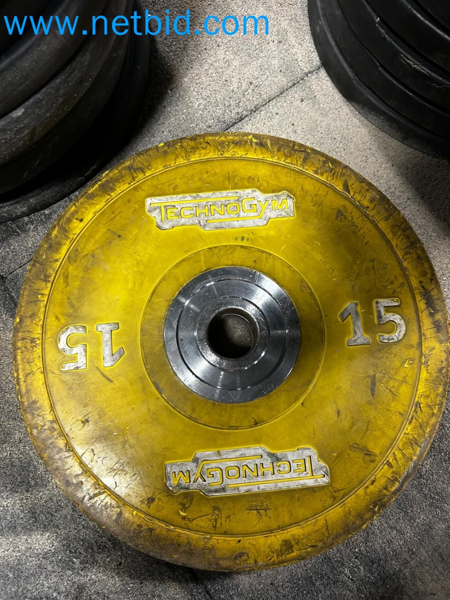 Auction of Used Technogym Gym Equipment – Professional Fitness Machines-1