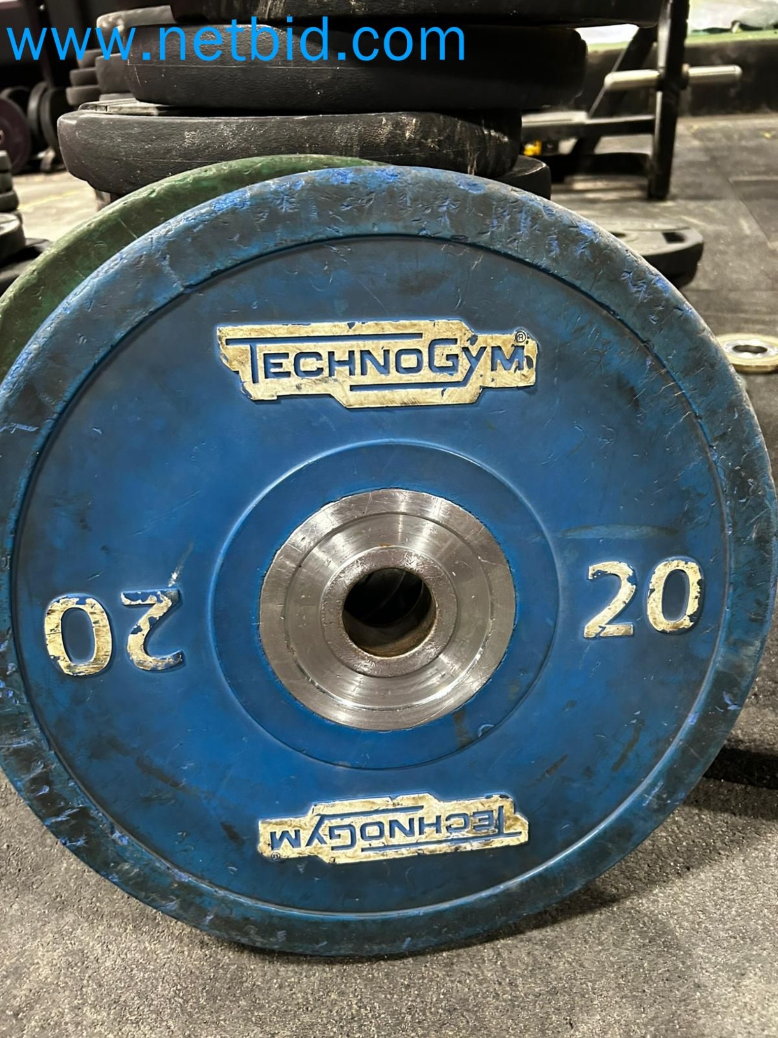 Auction of Used Technogym Gym Equipment – Professional Fitness Machines-24