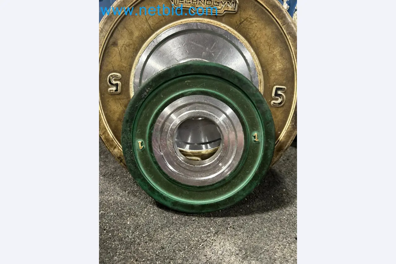 Subasta de Equipos de Gimnasio Technogym Usados – Máquinas Fitness Profesionales-4