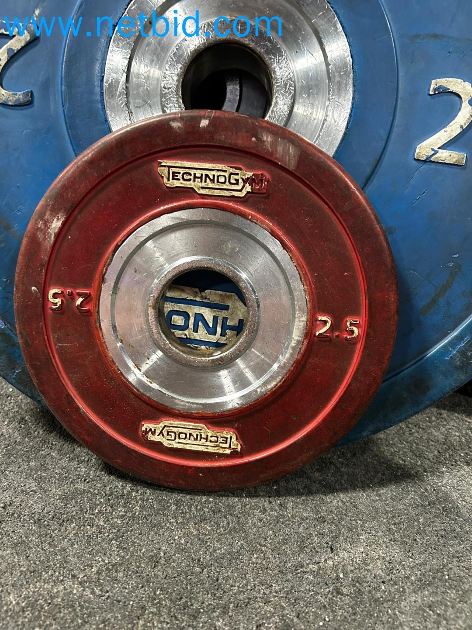 Auction of Used Technogym Gym Equipment – Professional Fitness Machines-6