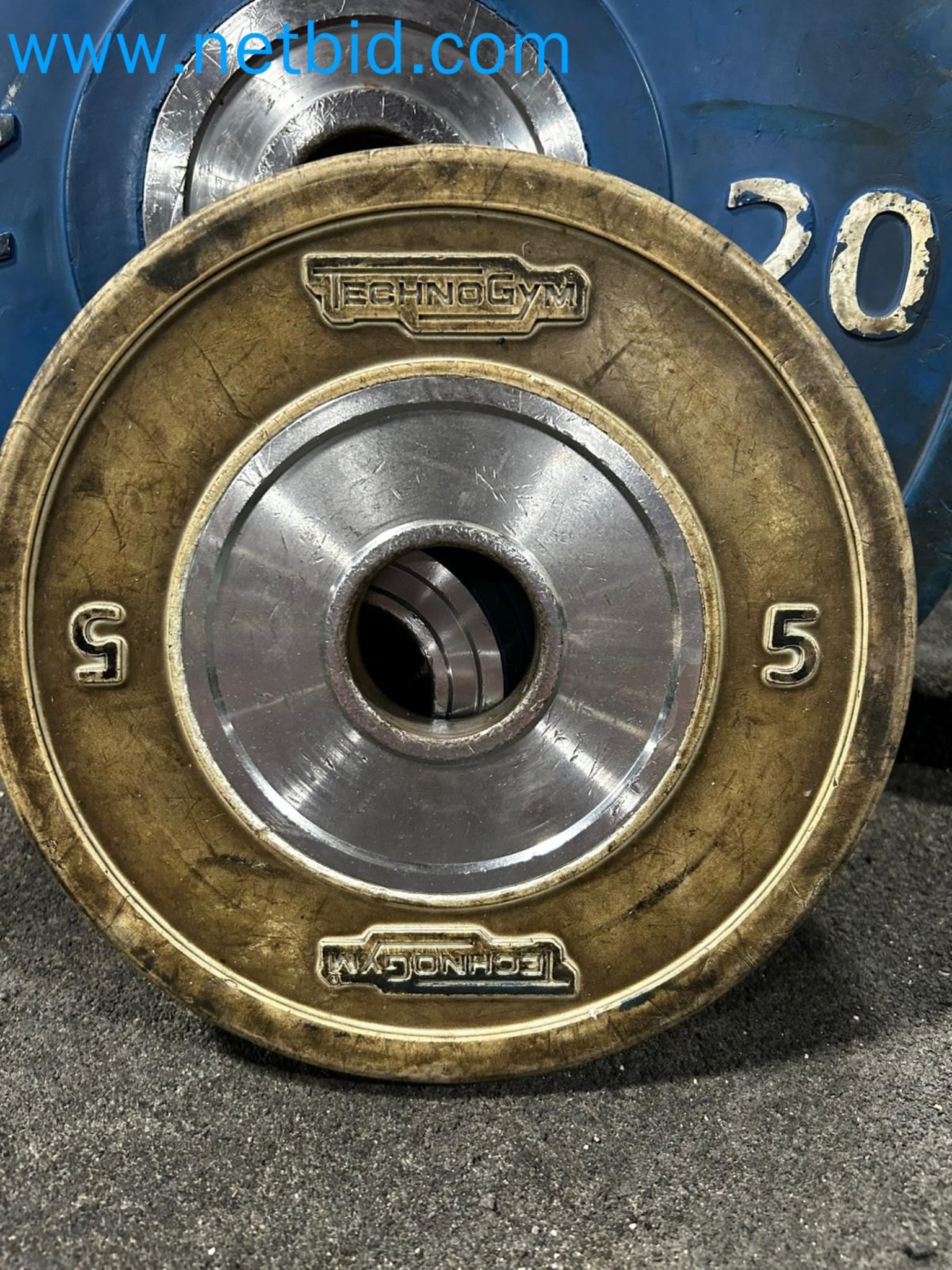 Auction of Used Technogym Gym Equipment – Professional Fitness Machines-8