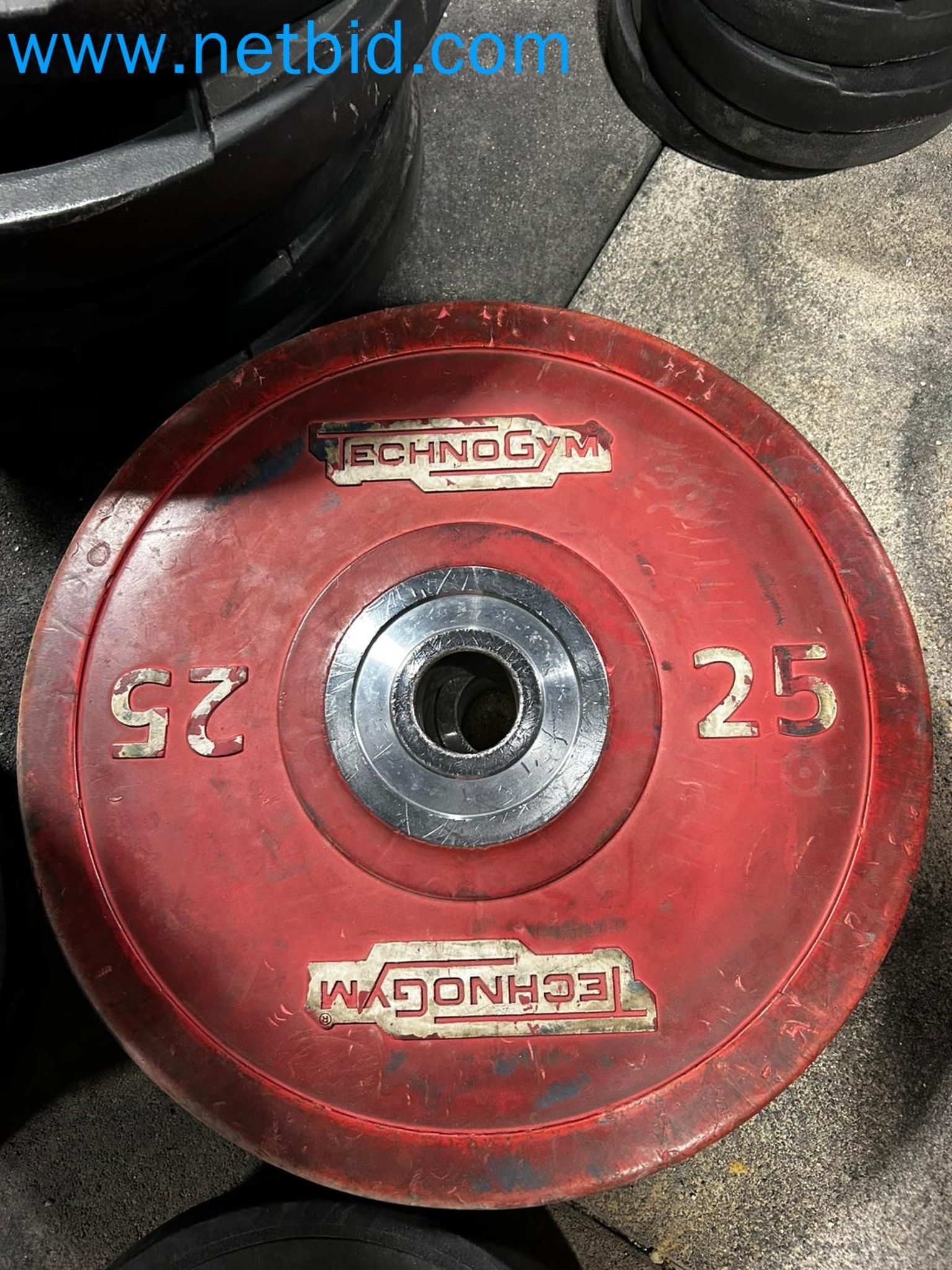 Auction of Used Technogym Gym Equipment – Professional Fitness Machines-9