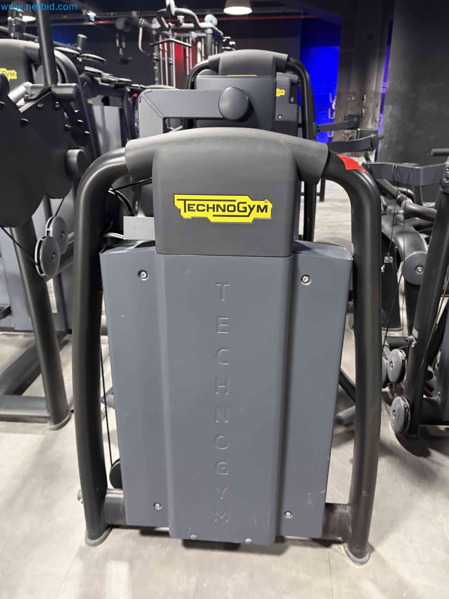 Auction of Used Technogym Gym Equipment – Professional Fitness Machines-1