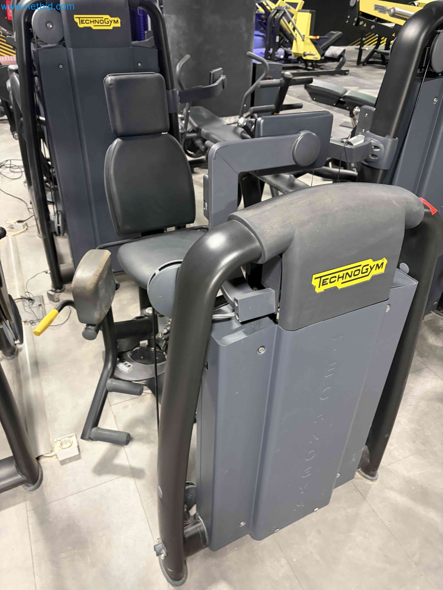 Auction of Used Technogym Gym Equipment – Professional Fitness Machines-2