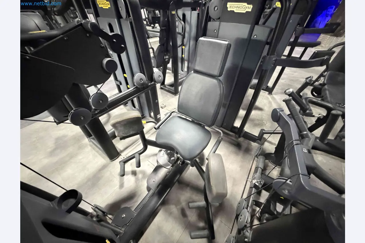 Auction of Used Technogym Gym Equipment – Professional Fitness Machines-4