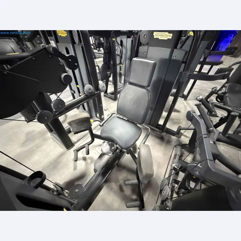 Auction of Used Technogym Gym Equipment – Professional Fitness Machines-4