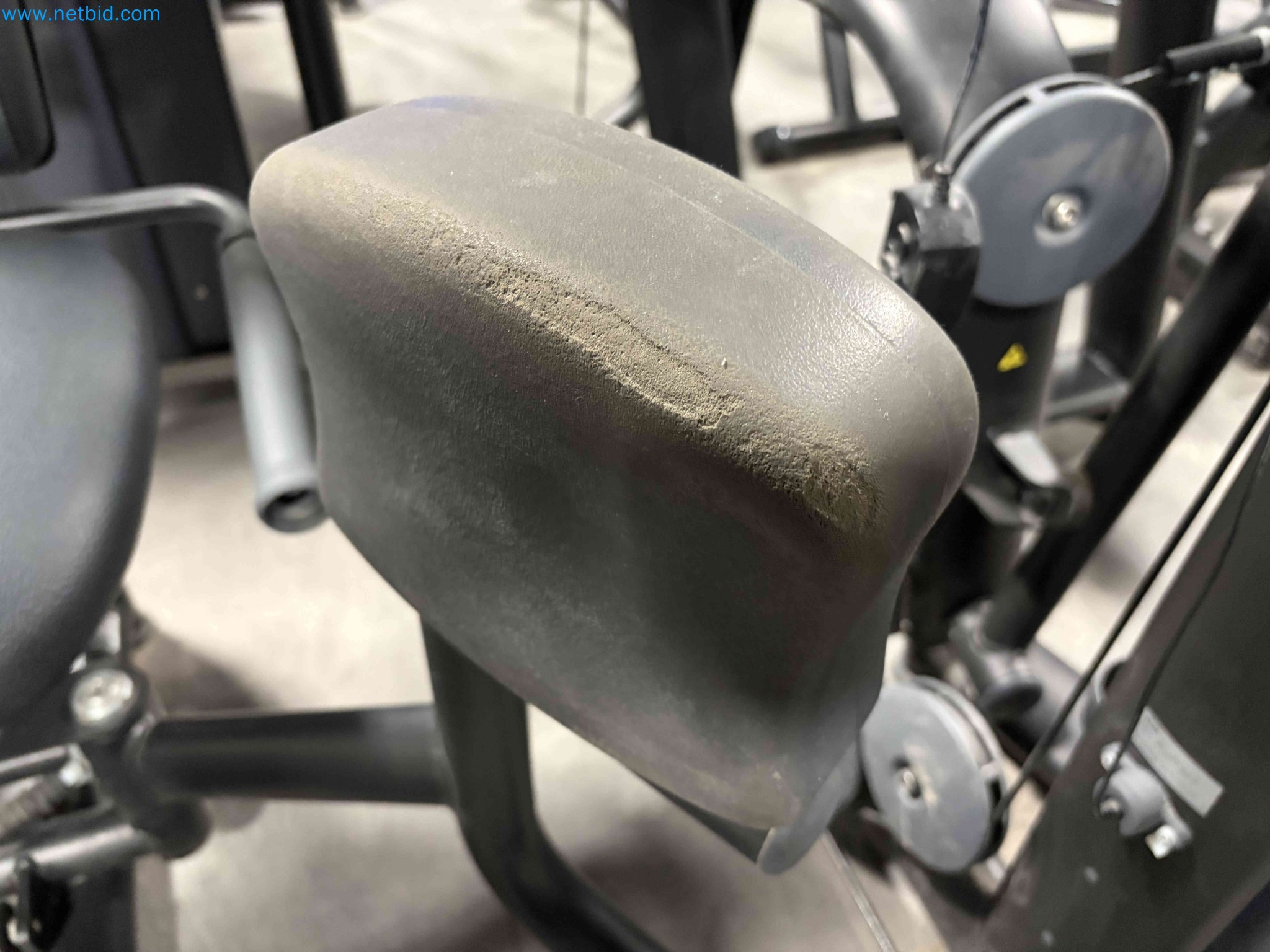 Auction of Used Technogym Gym Equipment – Professional Fitness Machines-5