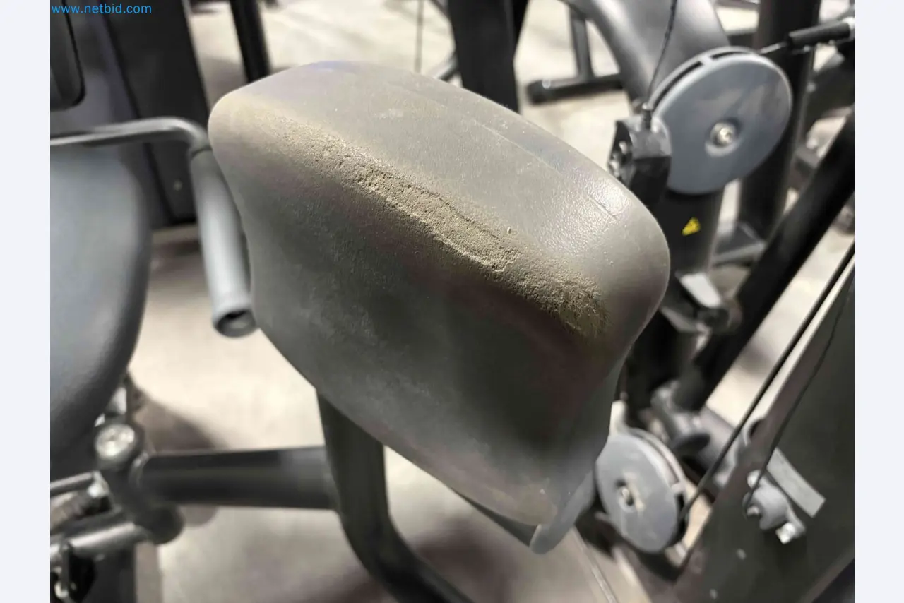 Auction of Used Technogym Gym Equipment – Professional Fitness Machines-5