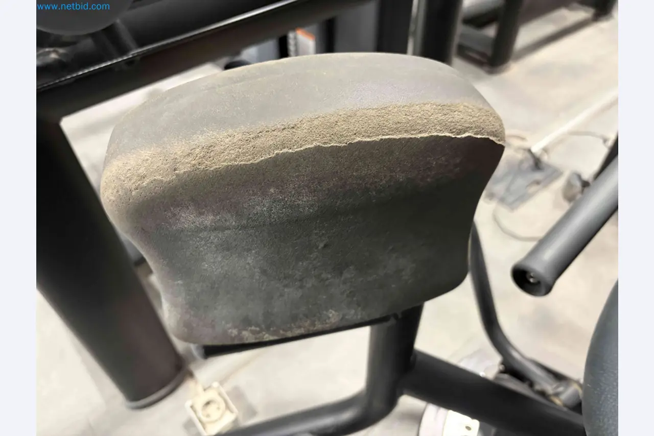 Auction of Used Technogym Gym Equipment – Professional Fitness Machines-6