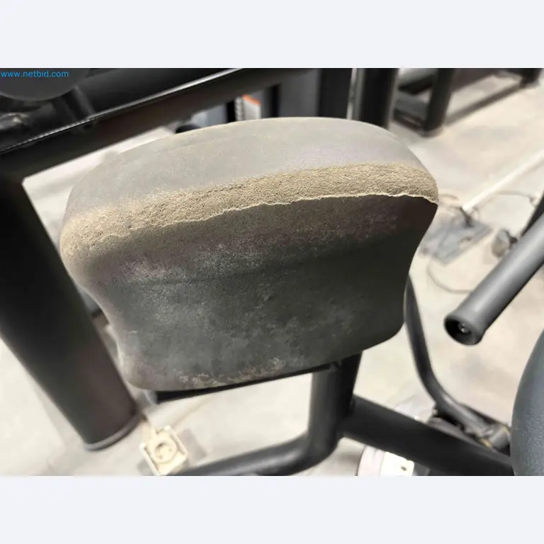 Auction of Used Technogym Gym Equipment – Professional Fitness Machines-6