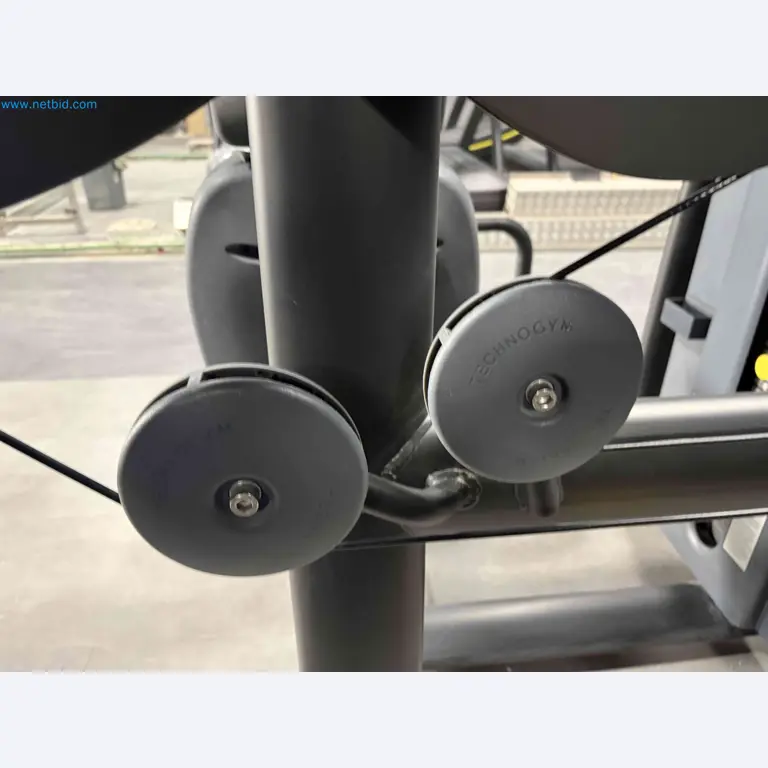 Auction of Used Technogym Gym Equipment – Professional Fitness Machines-14