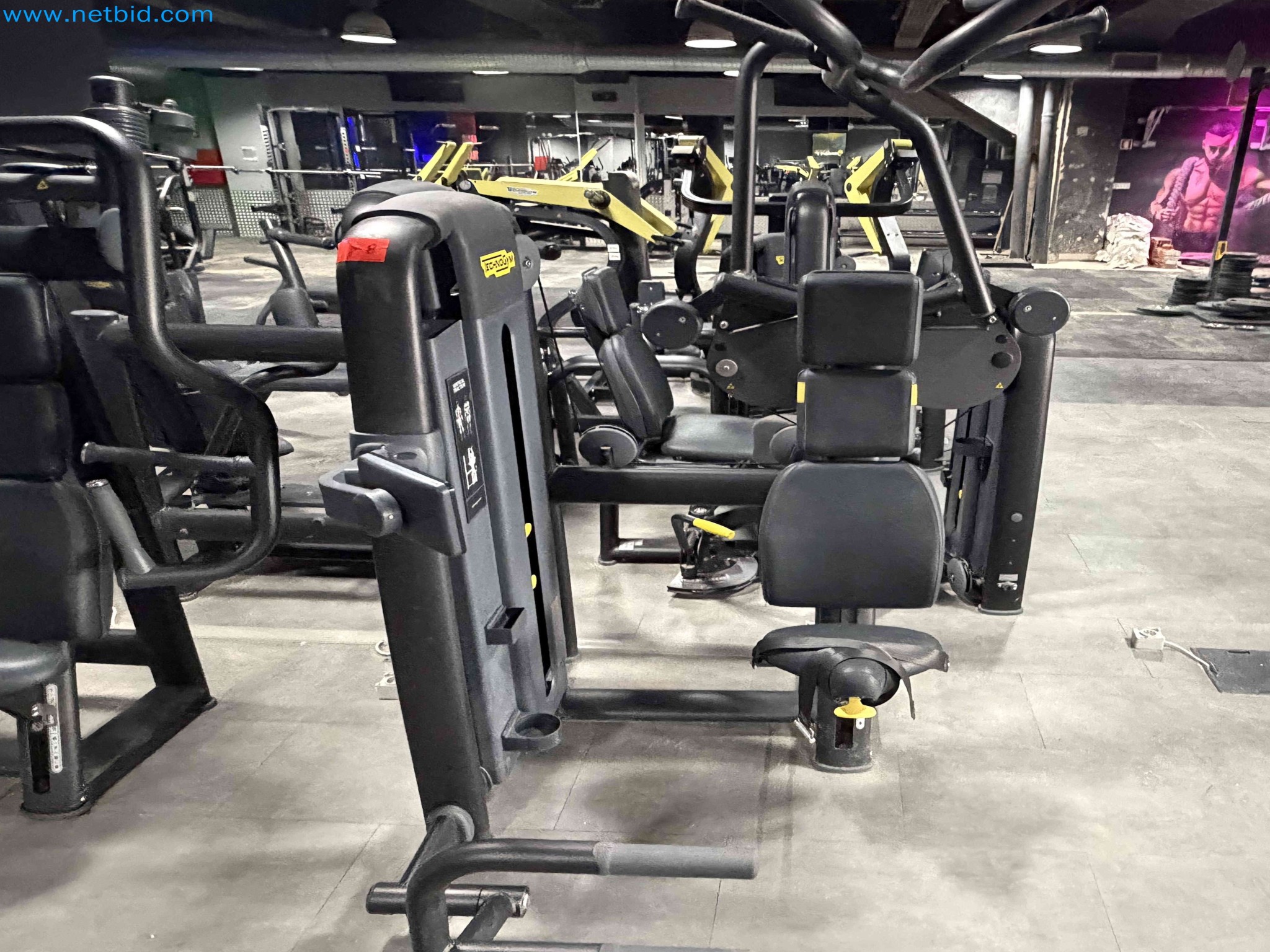 Auction of Used Technogym Gym Equipment – Professional Fitness Machines-15