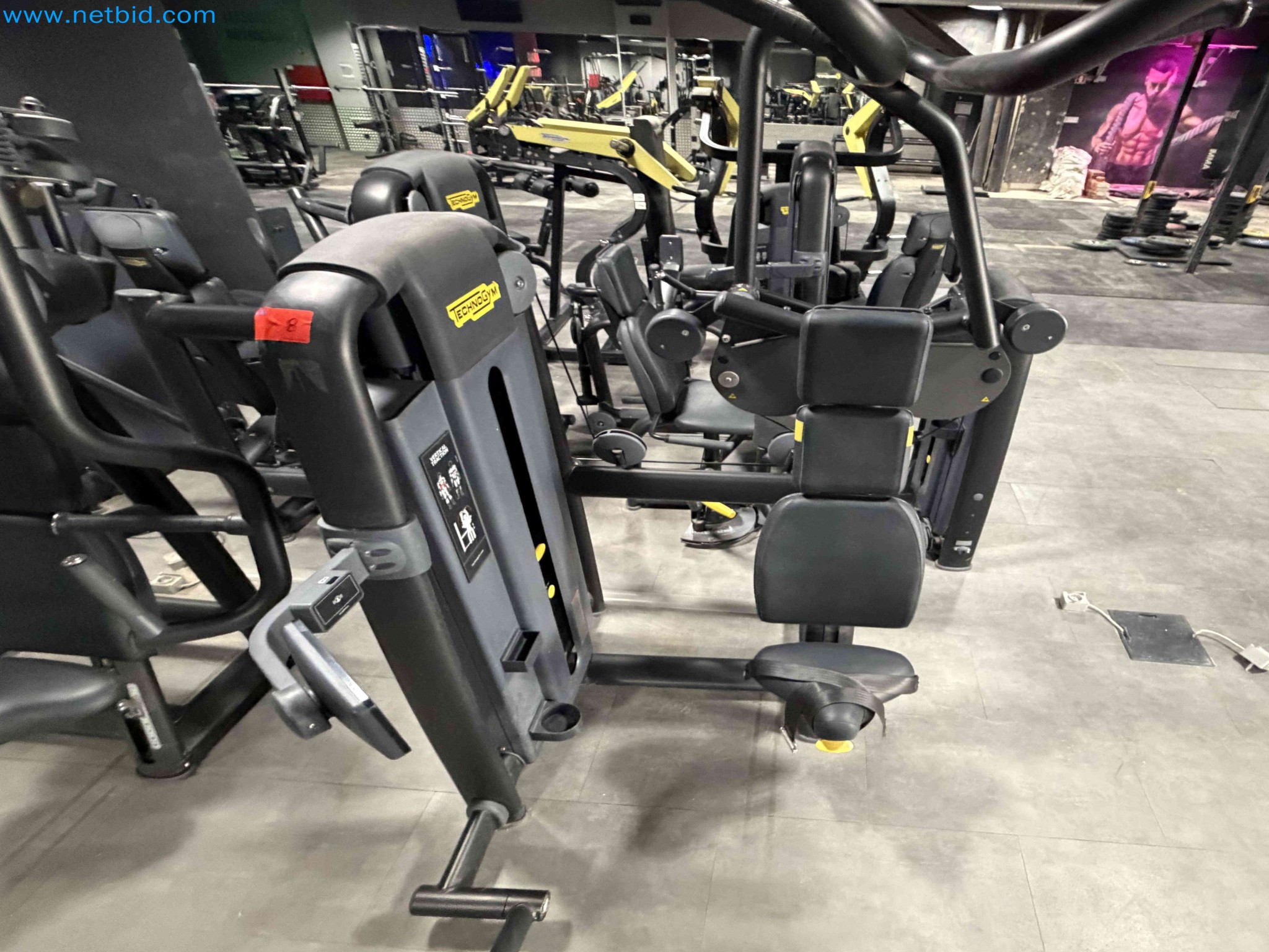 Auction of Used Technogym Gym Equipment – Professional Fitness Machines-8