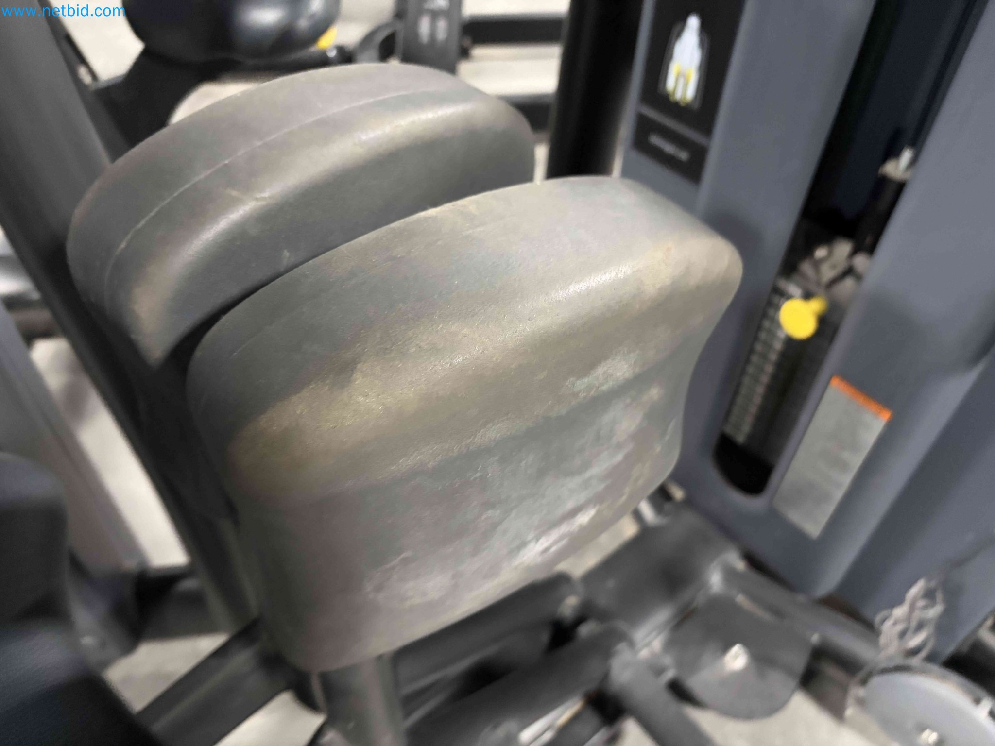 Auction of Used Technogym Gym Equipment – Professional Fitness Machines-11