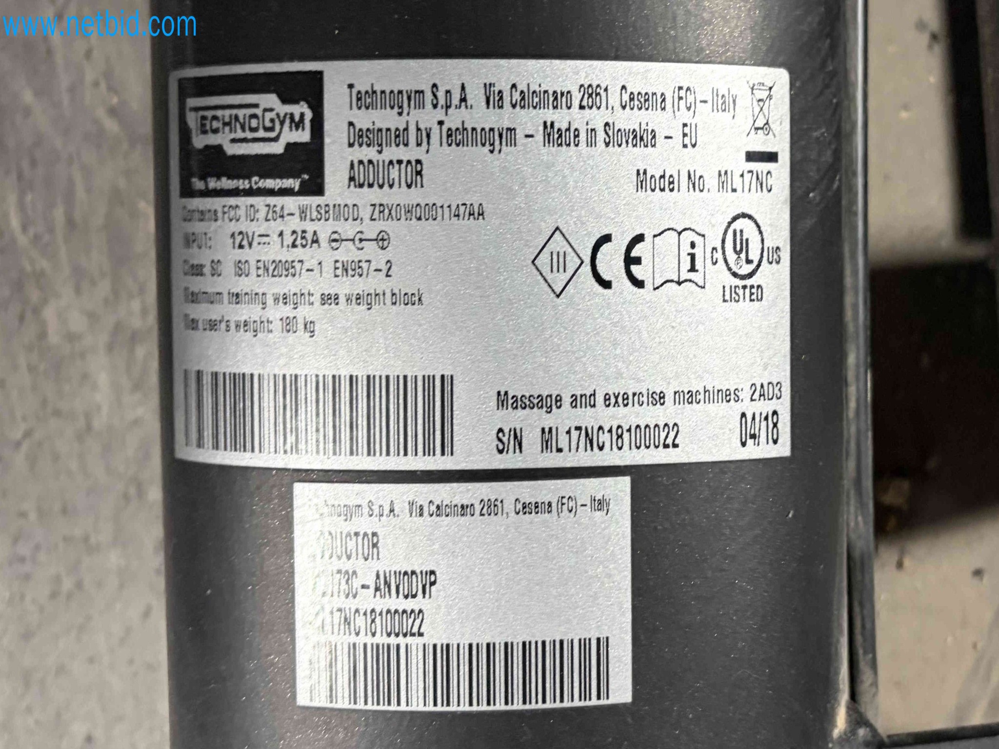 Auction of Used Technogym Gym Equipment – Professional Fitness Machines-12