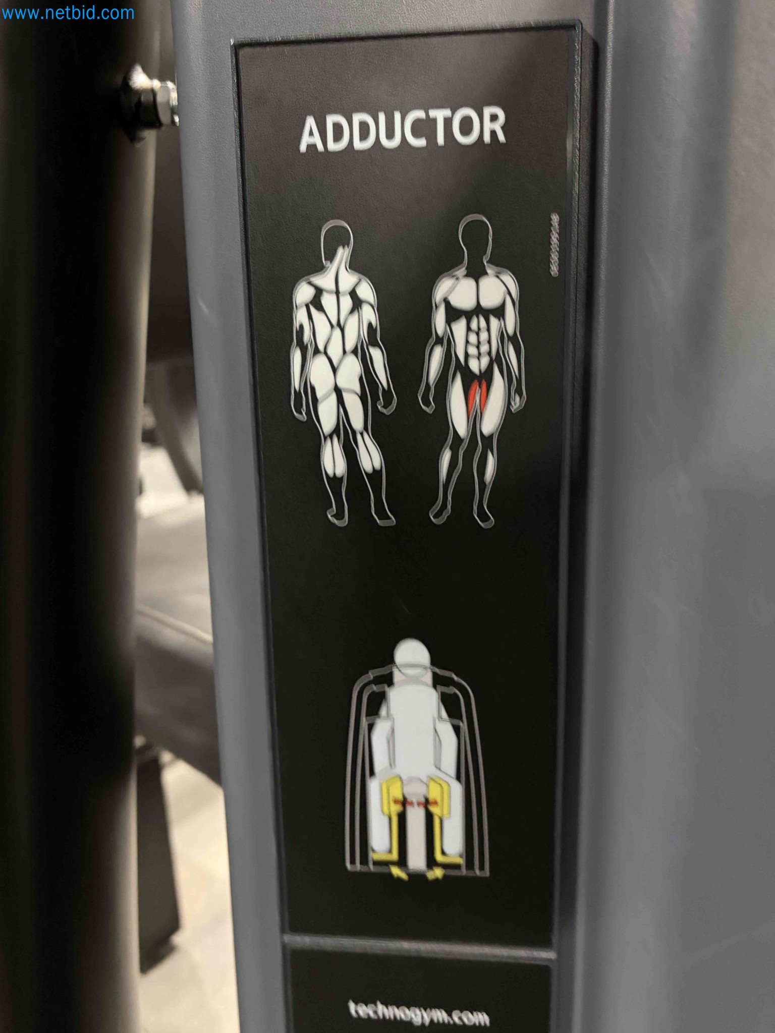 Auction of Used Technogym Gym Equipment – Professional Fitness Machines-5