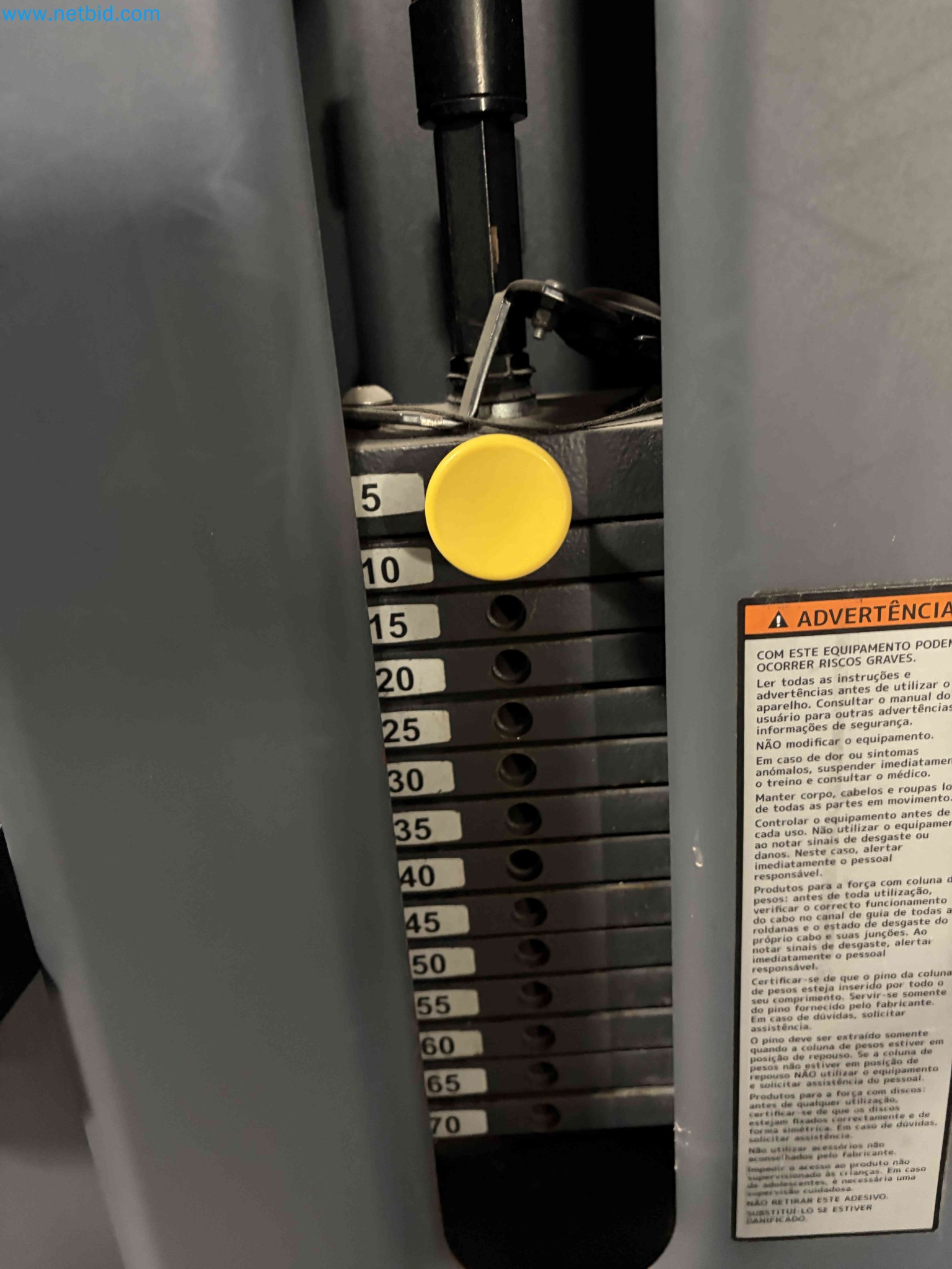 Auction of Used Technogym Gym Equipment – Professional Fitness Machines-6