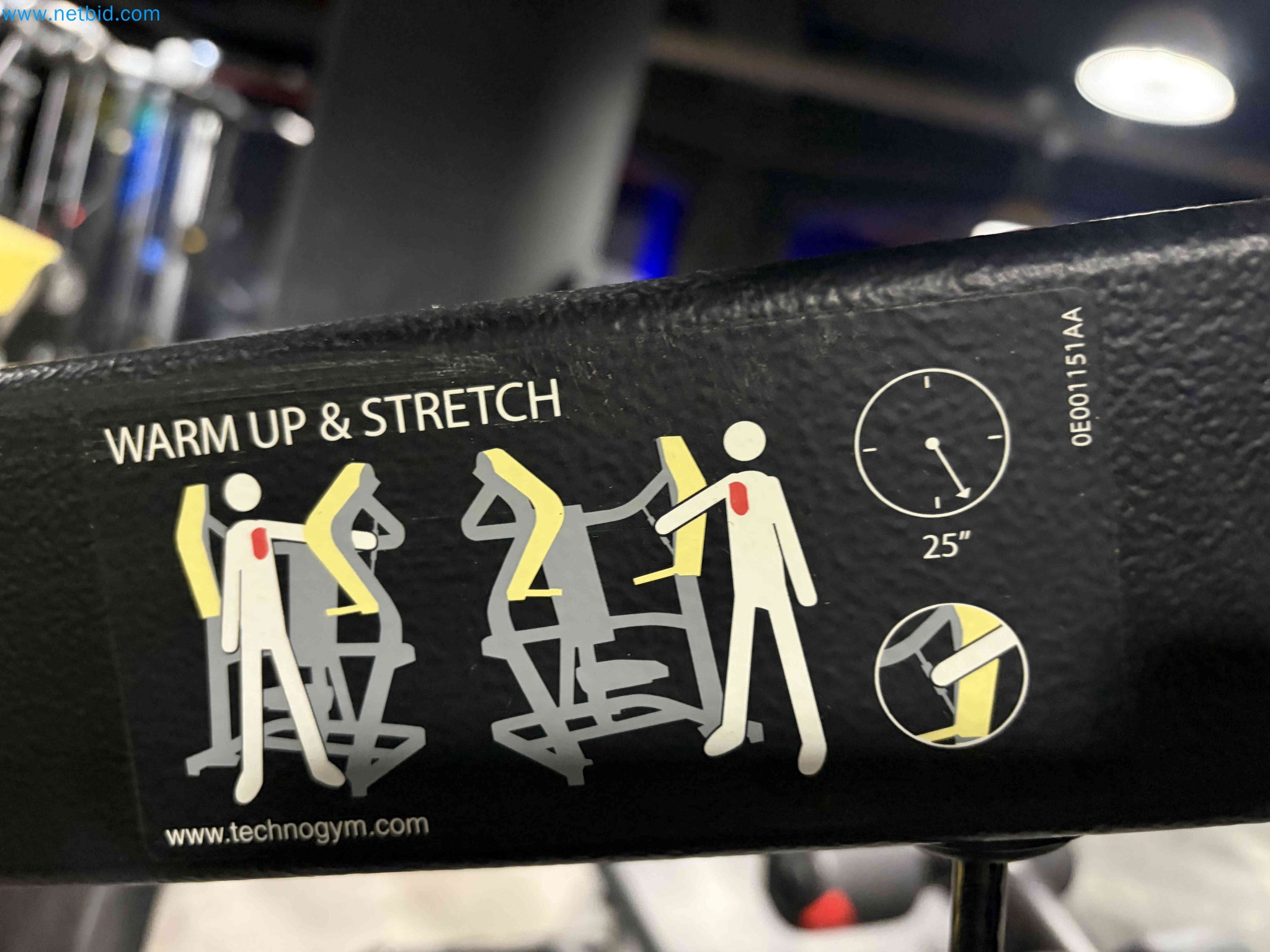 Auction of Used Technogym Gym Equipment – Professional Fitness Machines-7