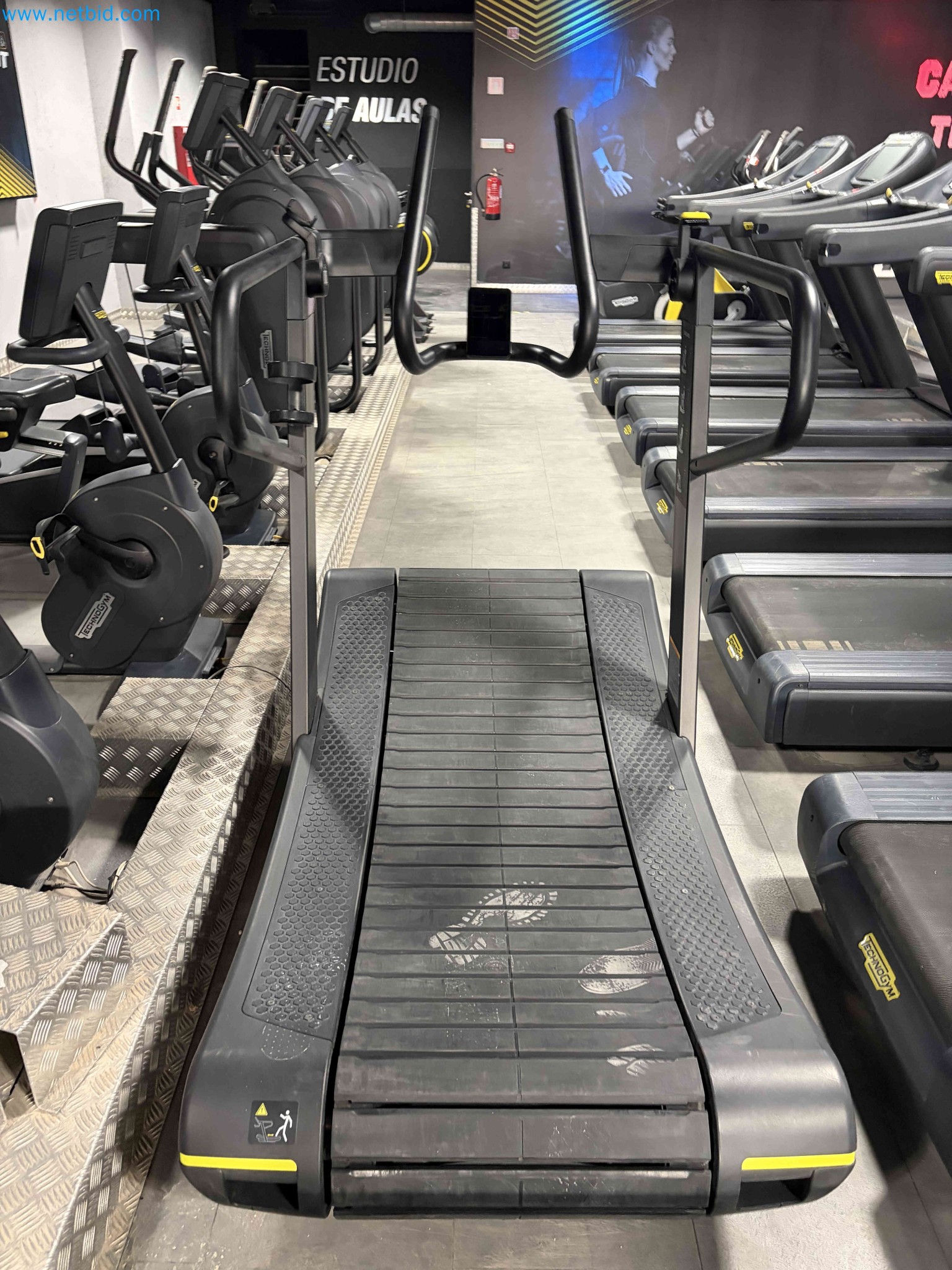 Auction of Used Technogym Gym Equipment – Professional Fitness Machines-1