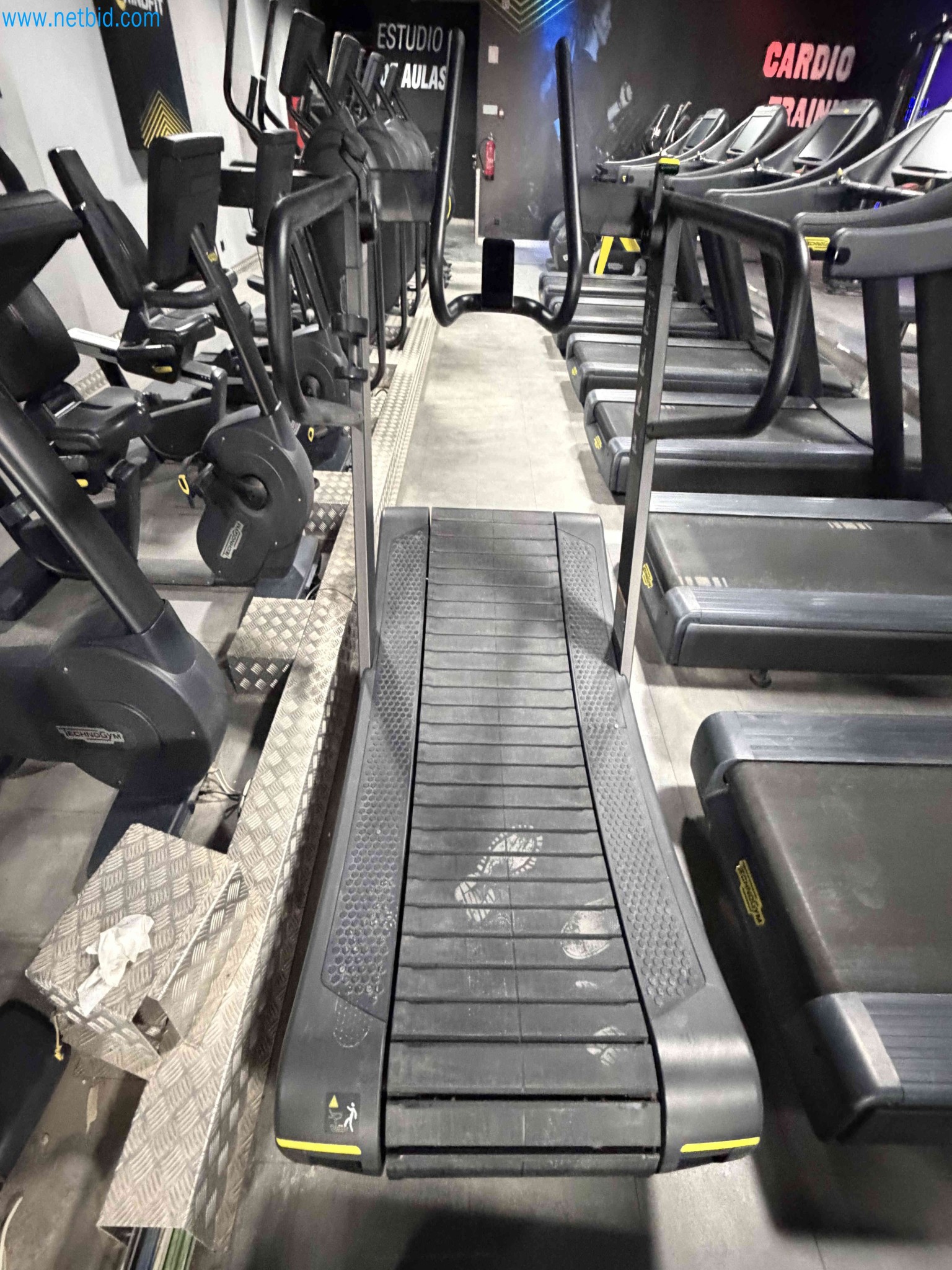 Auction of Used Technogym Gym Equipment – Professional Fitness Machines-2