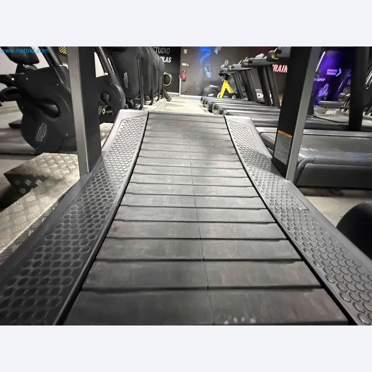 Dražba rabljene fitnes opreme Technogym - Profesionalna fitnes oprema-3