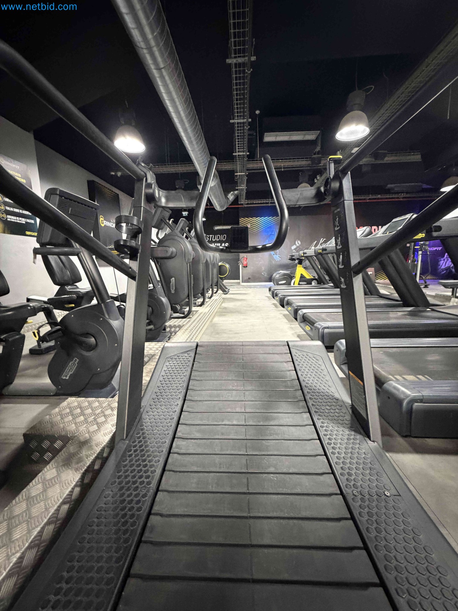 Auction of Used Technogym Gym Equipment – Professional Fitness Machines-4