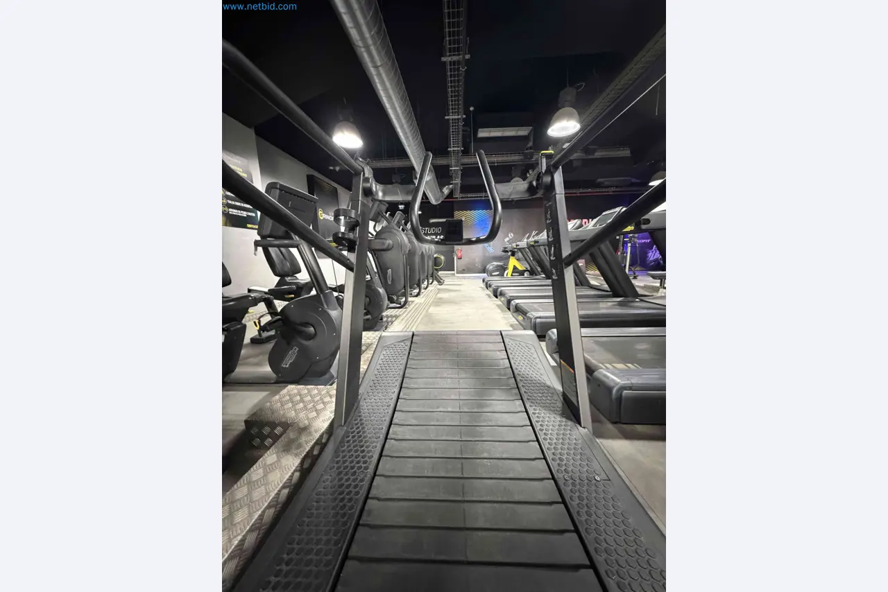 Dražba rabljene fitnes opreme Technogym - Profesionalna fitnes oprema-4