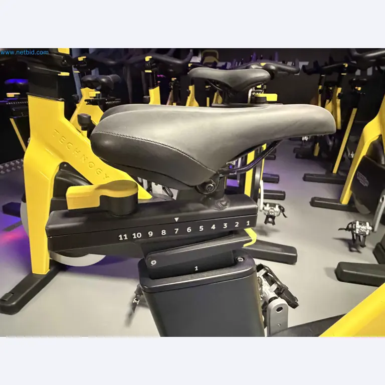 Auktion von gebrauchten Technogym-Fitnessgeräten – Professionelle Fitnessgeräte-3
