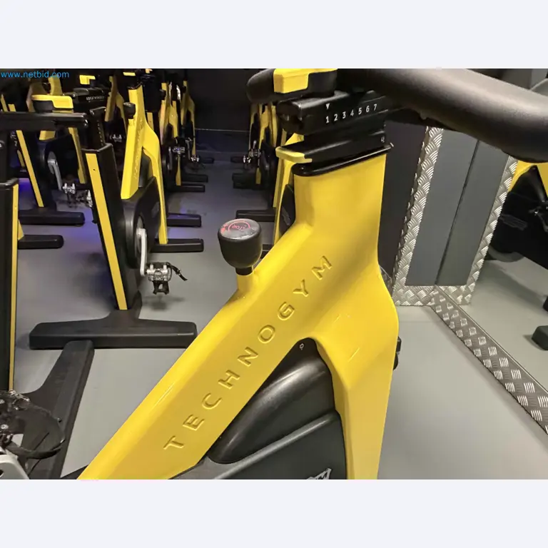 Auktion von gebrauchten Technogym-Fitnessgeräten – Professionelle Fitnessgeräte-4