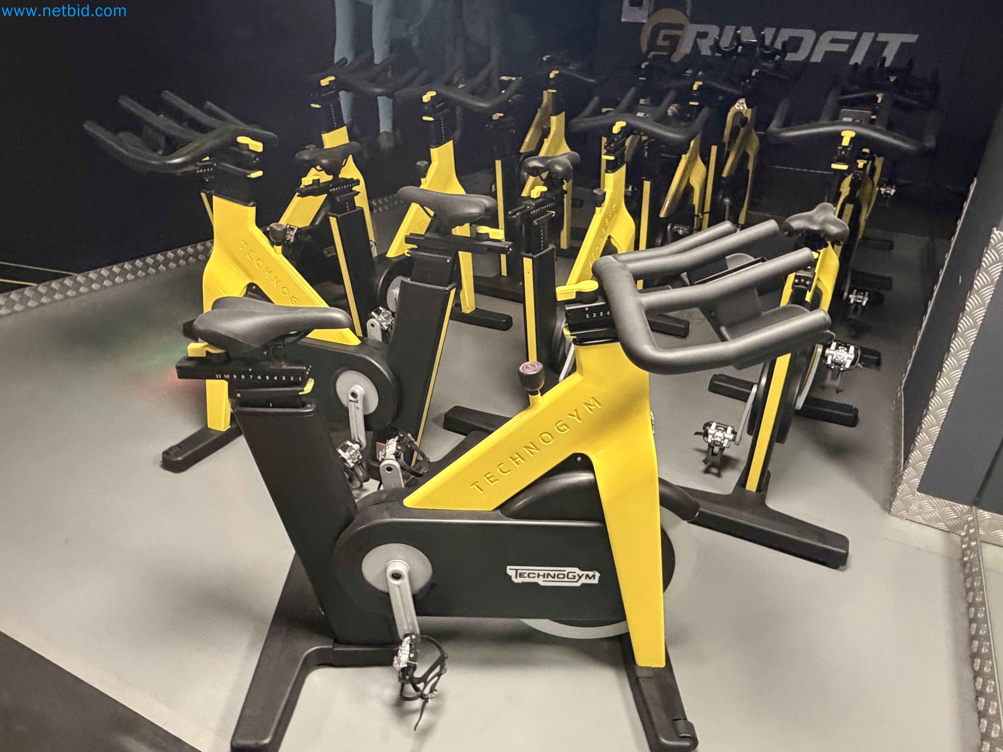 Auction of Used Technogym Gym Equipment – Professional Fitness Machines-11