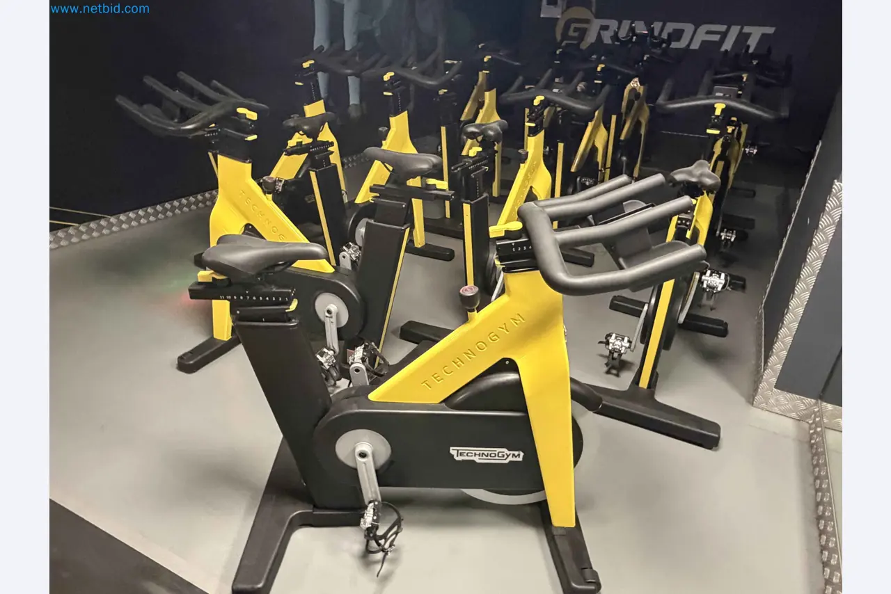 Leilão de Equipamentos de Ginásio Technogym Usados – Máquinas de Fitness Profissionais-11