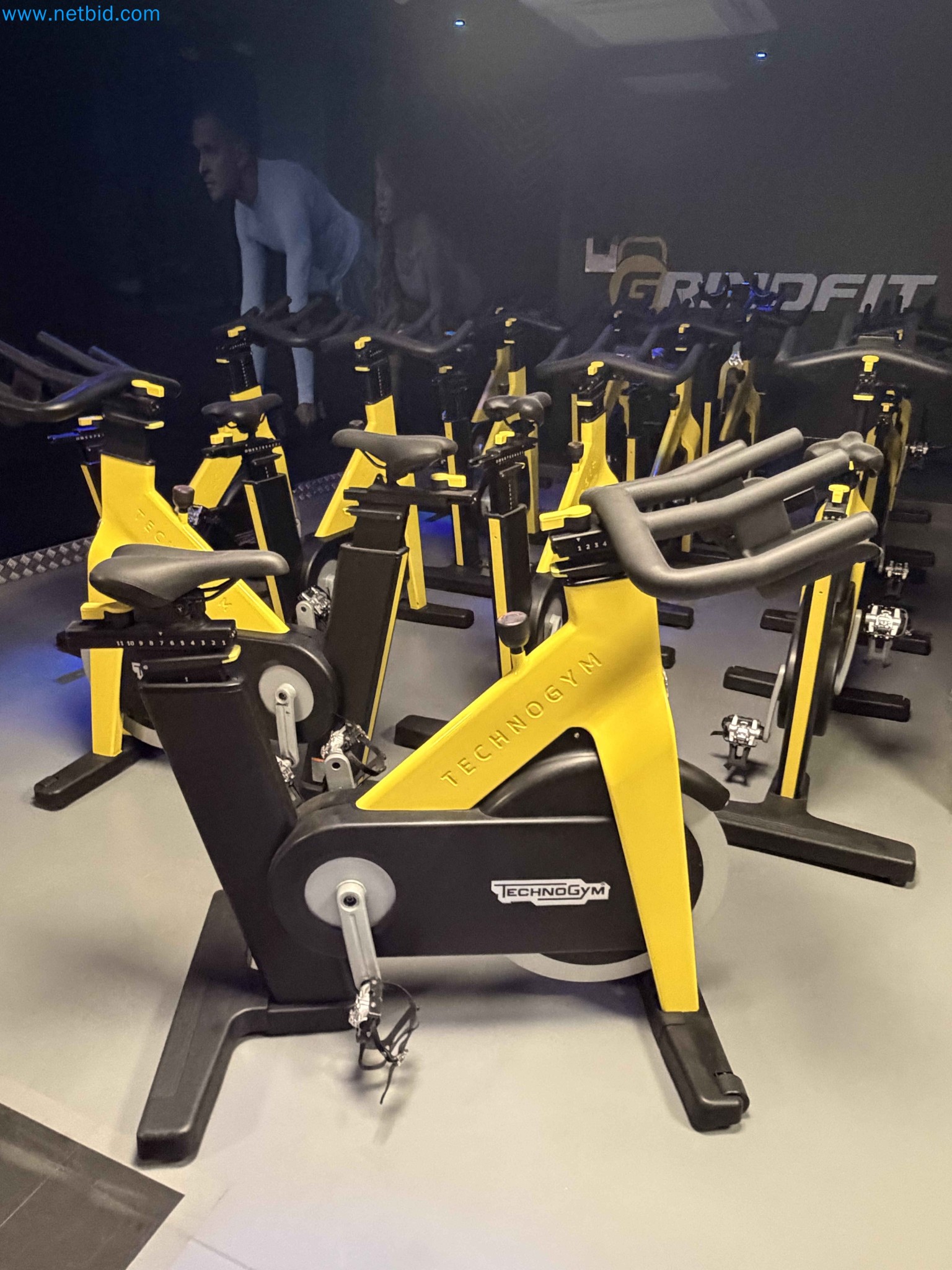 Auction of Used Technogym Gym Equipment – Professional Fitness Machines-1