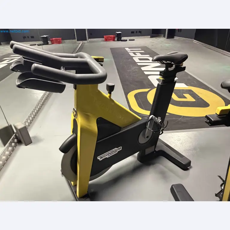 Leilão de Equipamentos de Ginásio Technogym Usados – Máquinas de Fitness Profissionais-10
